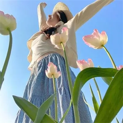 【高能反转】《为了N》荣仓奈奈贺来贤人：跨越十五年的塔楼命案，为了极致保护彼此的隐秘谎言